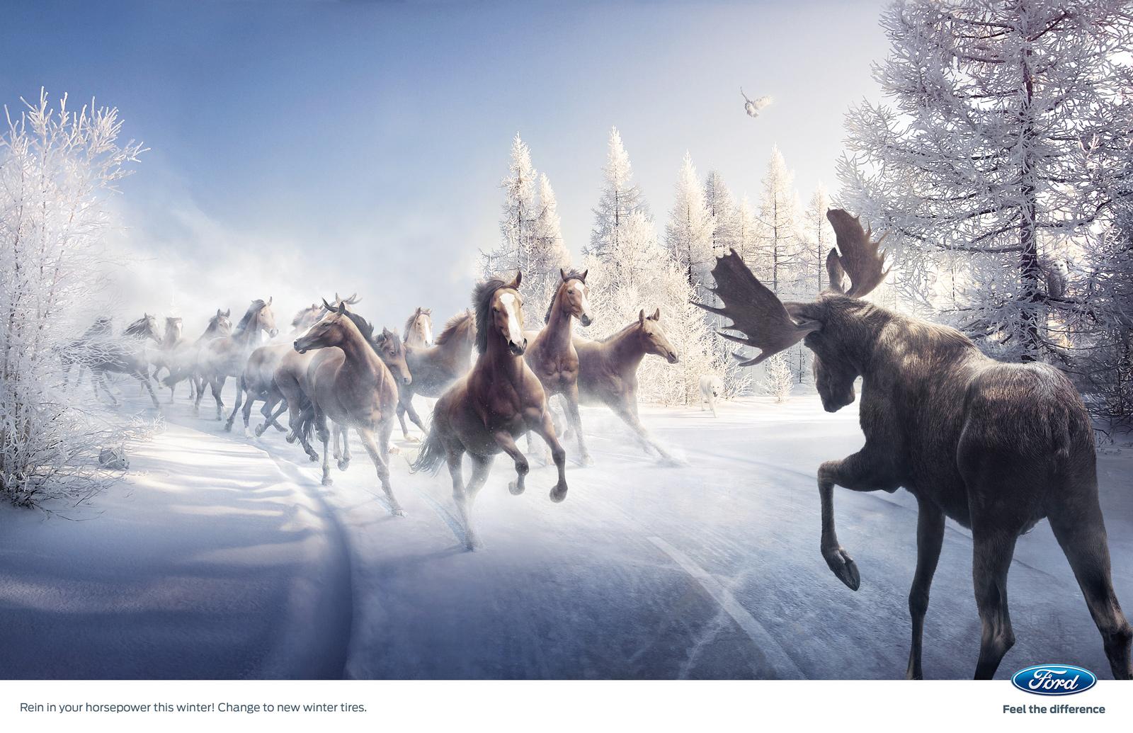 www.lacavalieremasquee.com | Dedicate & Per Mattisson for Ford: Moose Vs Horses