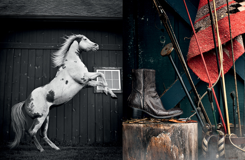 www.lacavalieremasquee.com | Ditte Isager for The Horse Rider's Journal #2 Winter 2011