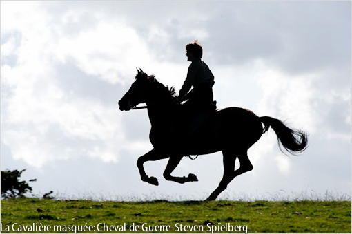cheval-de-guerre-14