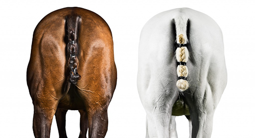 shelli-breidenbach-polo-03 shelli-breidenbach-polo-03