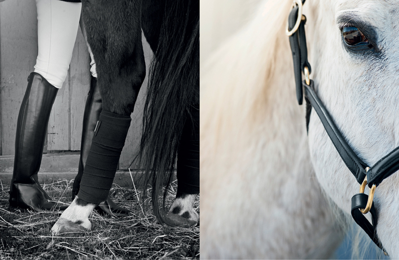 www.lacavalieremasquee.com | Ditte Isager for The Horse Rider’s Journal #4