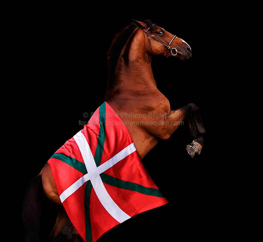 sandrine-philippe-branquart-equus-black-euskal-stallion-02