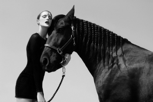 Jenni Porkka: Horses