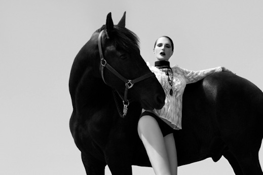 Jenni Porkka: Horses