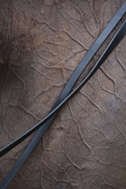 javidelucar: Caballos