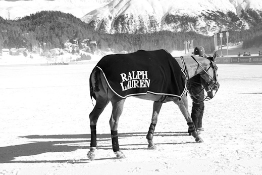 www.lacavalieremasquee.com / Polo World Cup Ralph Lauren www.lacavalieremasquee.com / Polo World Cup Ralph Lauren