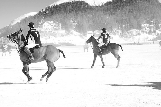 www.lacavalieremasquee.com / Polo World Cup Ralph Lauren www.lacavalieremasquee.com / Polo World Cup Ralph Lauren
