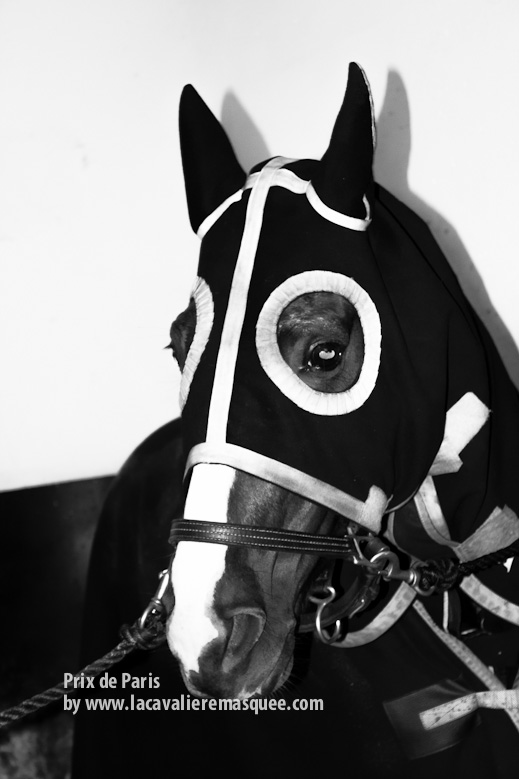 La Cavalière masquée Luxury Equestrian Style & Equine Photography