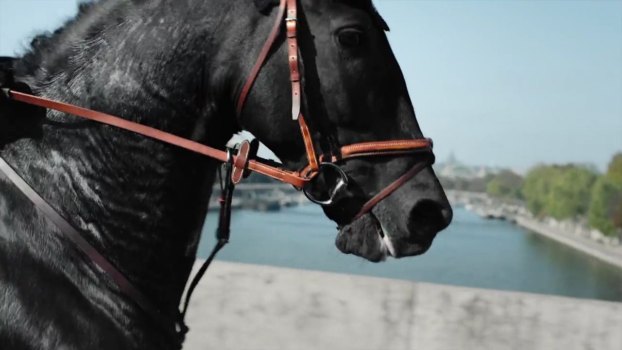 www.lacavalieremasquee.com | Hermès: Un cheval dans la ville