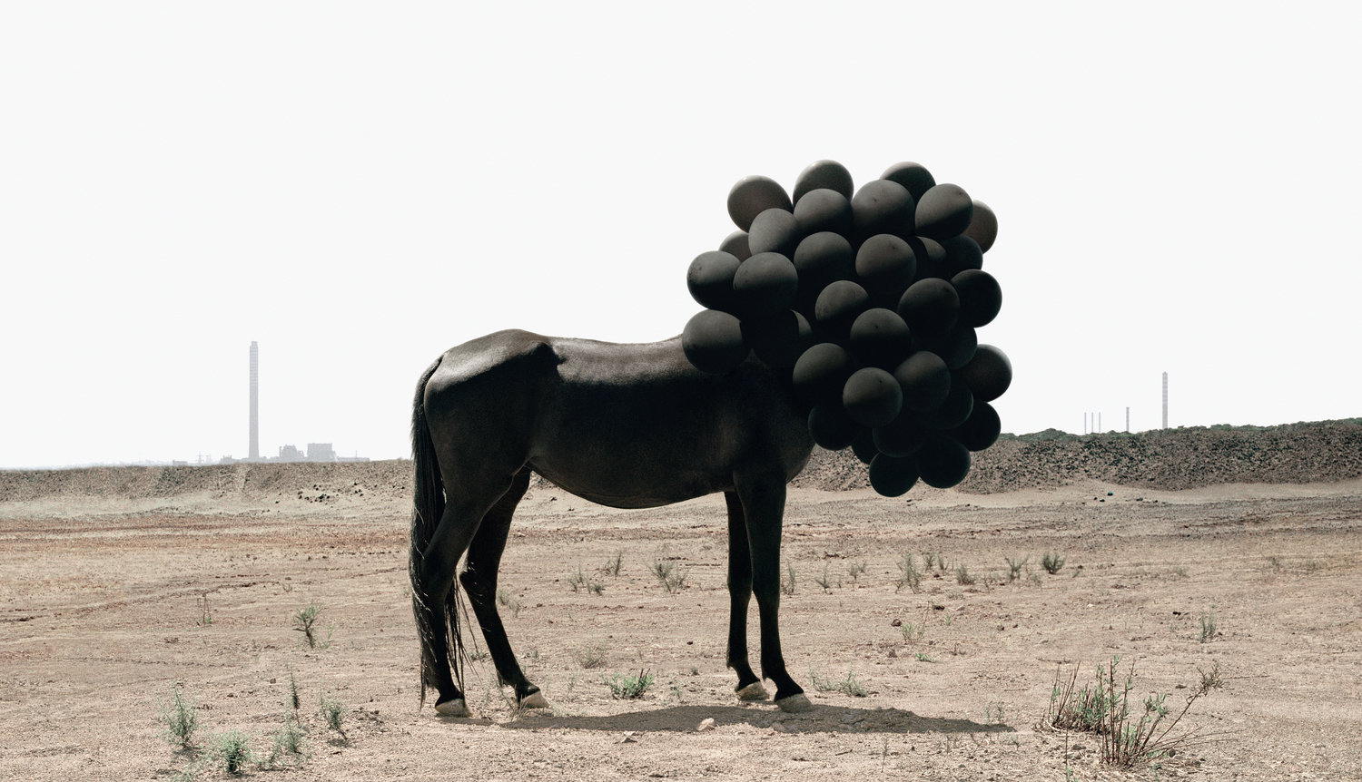 La Cavalière masquée | Andrea Galvani: Death of an Image