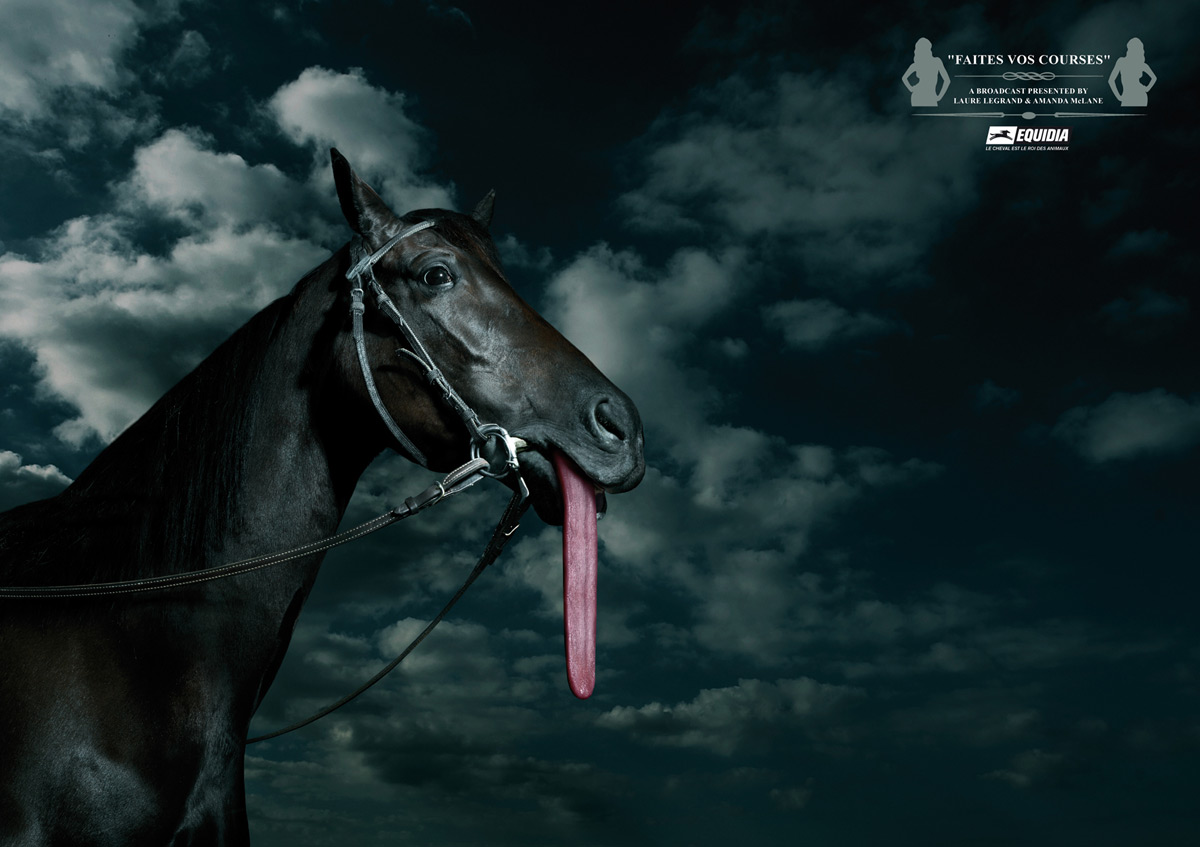 www.lacavalieremasquee.com | Agence H & Marc da Cunha Lopez for Equidia: Faites vos courses