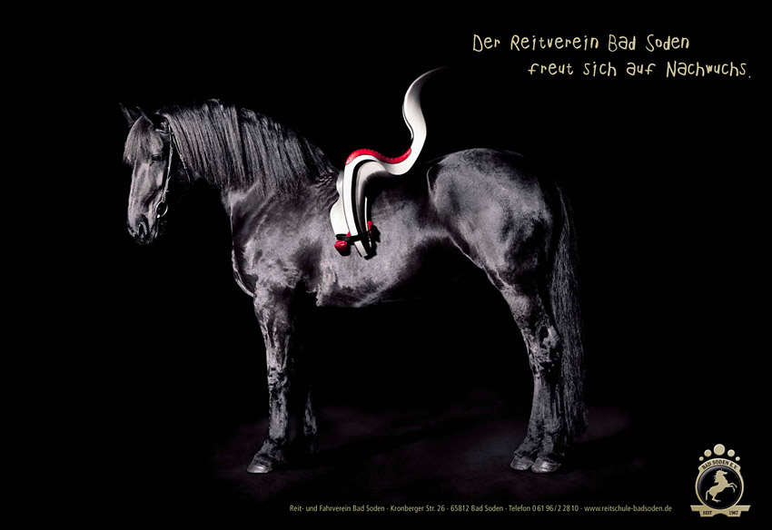 www.lacavalieremasquee.com | Tim Thiel for Reitverein Bad Soden