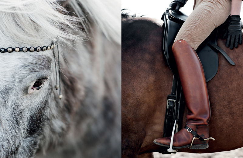 www.lacavalieremasquee.com | Ditte Isager for The Horse Rider's Journal #1 Summer 2011
