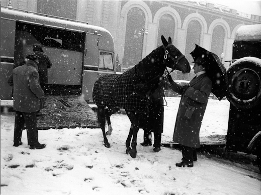 2012-02-26-vincennes-arrivee-des-trotteurs-15-fevrier-1055