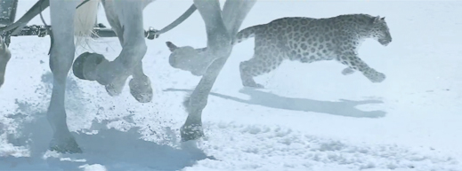 2012-03-04-odysee-de-cartier-051