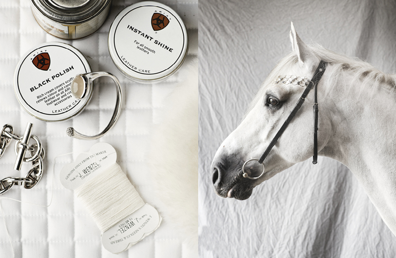 www.lacavalieremasquee.com| Ditte Isager for The Horse Rider’s Journal #3