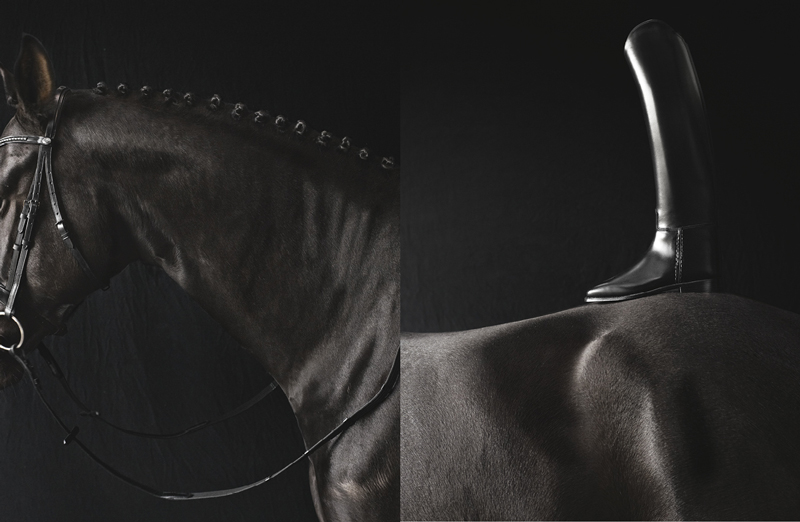 www.lacavalieremasquee.com| Ditte Isager for The Horse Rider’s Journal #3