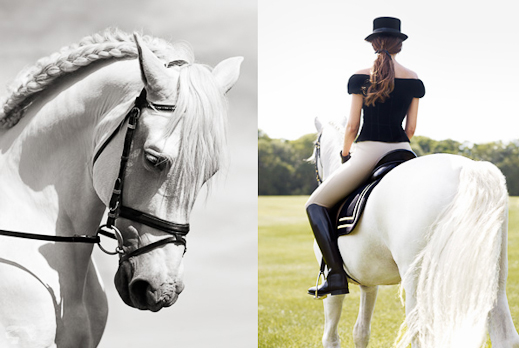 2011-09-richard-phibbs-town-country-beautiful-creatures-06 2011-09-richard-phibbs-town-country-beautiful-creatures-06