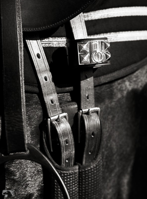 2011-09-richard-phibbs-town-country-beautiful-creatures-10-6 2011-09-richard-phibbs-town-country-beautiful-creatures-10-6