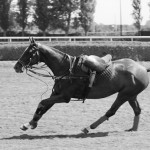 2012-04-thierry-poussard-expo-chantilly-03