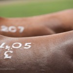 2012-04-thierry-poussard-expo-chantilly-04