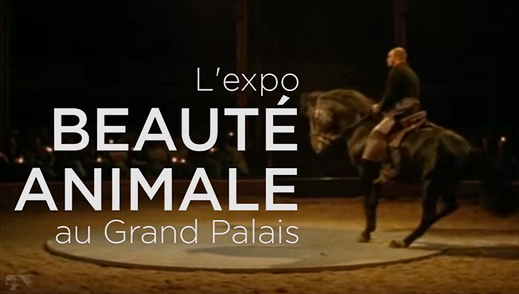 2012-beaute-animale-grand-palais-01