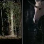 chocolat-frey-licorne-femmes