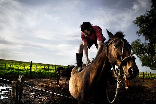 sebastiano-vitale-the-raw-horseproject-4