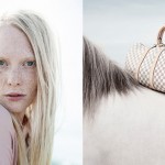 Ditte Isager – The Horse Rider&rsquo;s Journal
