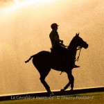 Thierry Poussard pour La Cavalière masquée : Polo Time
