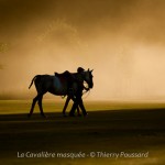 Thierry Poussard pour La Cavalière masquée : Polo Time