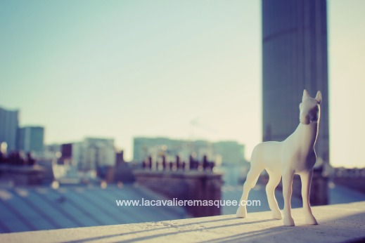 www.lacavalieremasquee.com / Horse in Paris