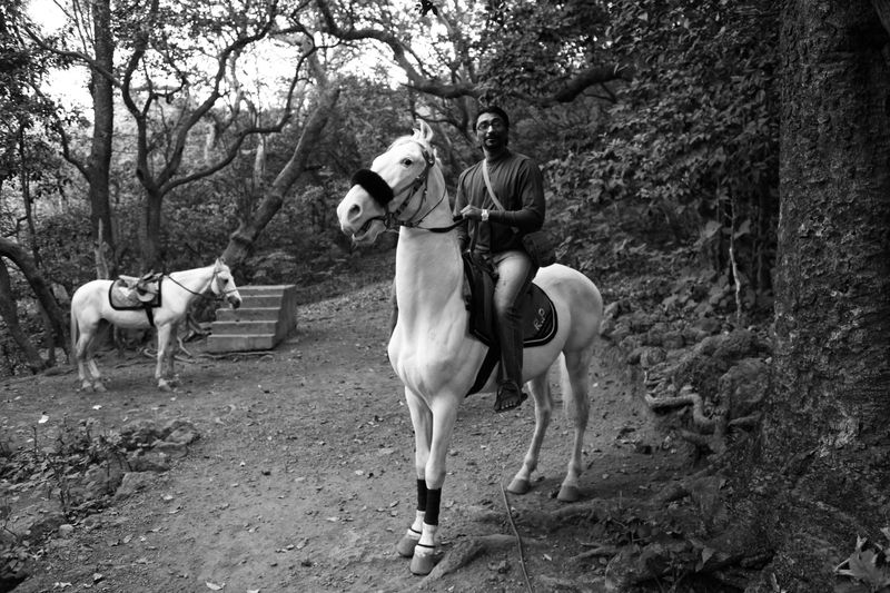 www.lacavalieremasquee.com | Mara Desipris for Elle India: Don't ride the white horse