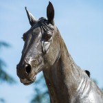 www.lacavalieremasquee.com – Ourasi, hippodrome de Vincennes