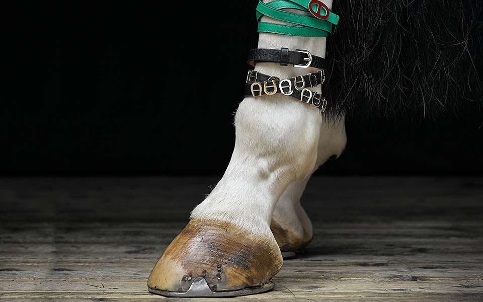 www.lacavalieremasquee.com | 'Precious Pieces' by Wolf-Dieter Boettcher for Equistyle Magazine