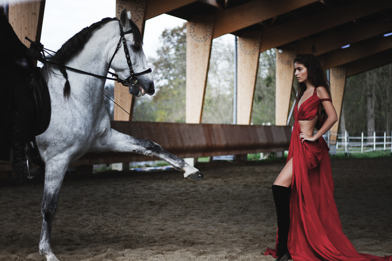 www.lacavalieremasquee.com | Fashion Horse by Natacha Lamblin