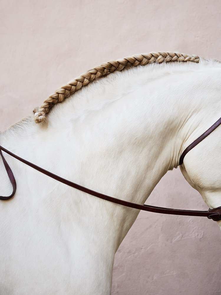 www.lacavalieremasquee.com | Ricarda Piotrowski for Holland Cooper Equestrian Spring/Summer 2020