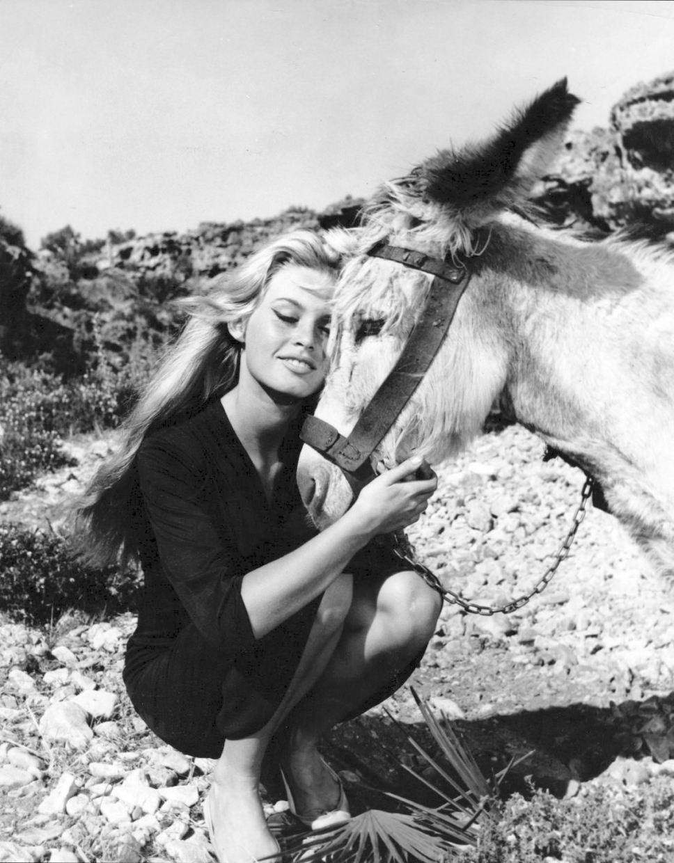Brigitte Bardot